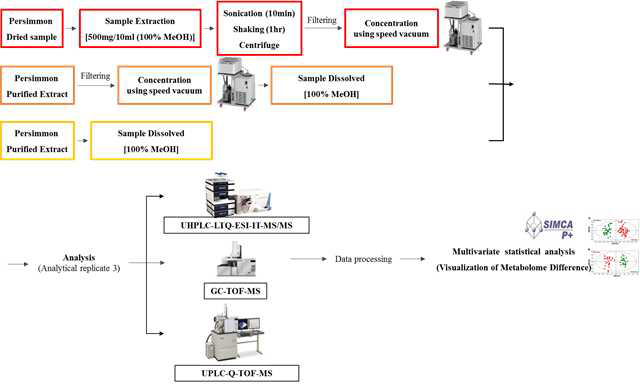 Experiment scheme