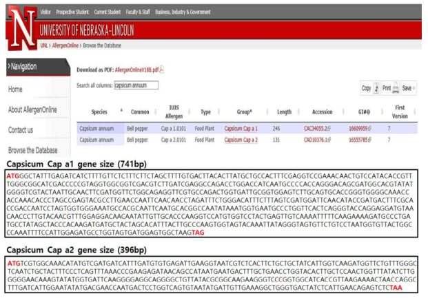 고추 내재 알레르기 단백질 탐색과 유전정보