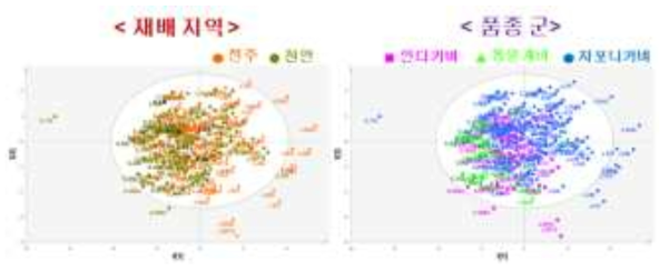 2015년 재배한 벼 종자의 페놀산 함량의 주성분분석