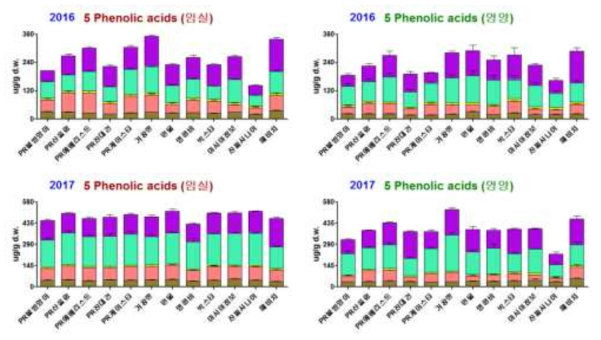 2016~2017년 재배한 고추의 총 페놀산 함량
