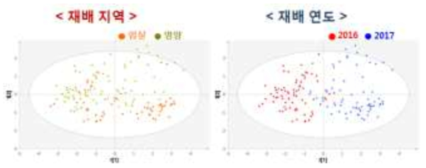 고추 과피 총 페놀산 함량의 주성분분석