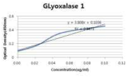 Glyoxalase 1 단백질에 대한 표준곡선 분석