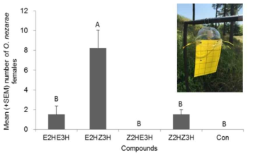 E2HZ3H와 그 이성질체의 단일 성분에 대한 야외 실험 GLM, LSD, DF= 4, 15, F=13.97, P < 0.0001