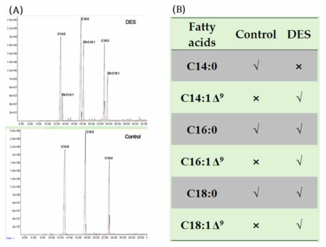 형질전환된 Saccharomyces cerevisiae 이스트의 지방산 합성물. (A) Chromatogram 비교 (B) GC-MA 결과