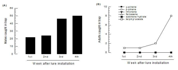 Effect of fruit extract compounds on attracting Grapholita adults in an apple orchard at Andong in 2018. All compounds are contained in polyurethane (PU) bag as described in Materials and Method. The lure in the PU bag was installed in Delta sticky trap. (A) Occurrence of Grapholita males during 4 weeks using sex pheromone trap. (B) Attractiveness of terpinyl acetate against Grapholita adults among six compounds