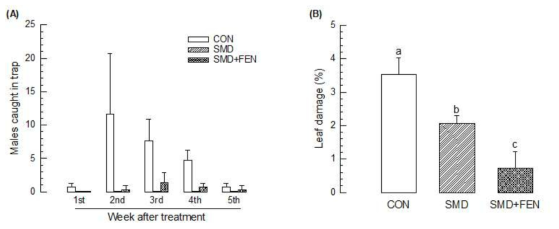 Effect of fence (FEN) traps on SMD treatment against Grapholita adults in an apple orchard at Andong in 2018. (A) Comparison of SMD and SMD+FEN treatments in mating disruption efficacy with respect to total males caught in monitoring traps. Three monitoring traps were deployed in each treatment and counted for 5 weeks. (B) Comparison of SMD and SMD+FEN treatments in mating disruption efficacy with respect to leaf damage. Three host trees were randomly chosen in each replication and 500 leaves in each tree were assessed