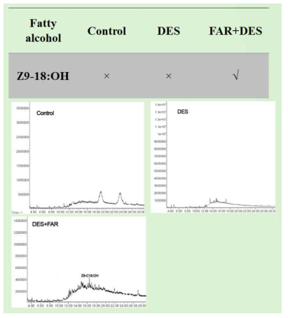 형질전환된 Saccharomyces cerevisiae 이스트의 알코올 합성물. (A) Chromatogram 비교 (B) GC-MA 결과