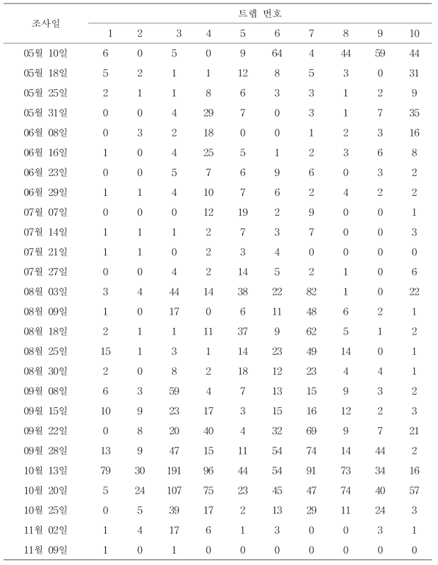 김제 사과원 주변에 설치한 트랩 위치별, 시기별 썩덩나무노린재 성충 포획 밀도 변동