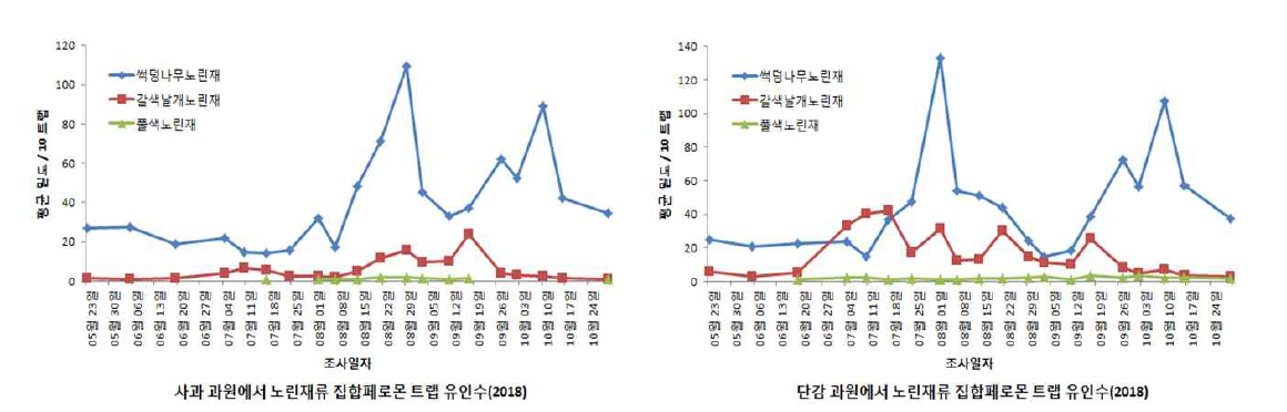 사과 및 단감 과수원에서 노린재류 발생밀도 변동. 임실(좌), 담양(우)