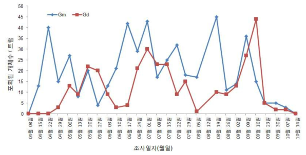 구리 사과원에서 트랩에 포획된 복숭아순나방류 밀도. Gm: 복숭아순나방 Grapholita molesta, Gd: 복숭아순나방붙이 Grapholita dimorpha