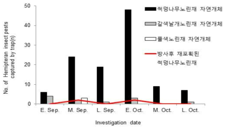 노린재류 집합페로몬트랩에 포획된 노린재류 개체수(9월~10월)