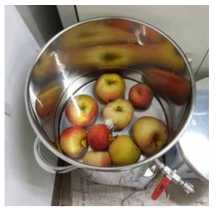 사과 유기용매 추출