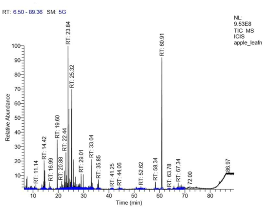 사과 잎 휘발성분 가스크로마토그램