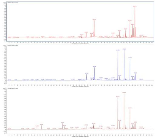 감 잎(위) 및 열매 유기용매 추출물 가스크로마토그램