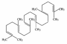 Squalene의 화학구조