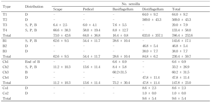 The number (mean±SD) of sensilla subtypes on each antennal segment of R. pedestris male adults (n=5)