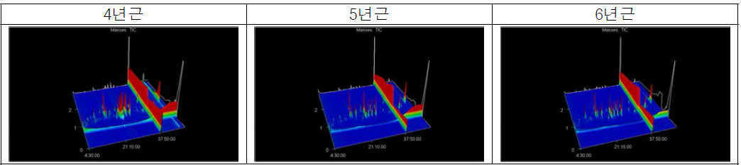 인삼의 연근별 GCxGC/MS 3차원 이온크로마토그램