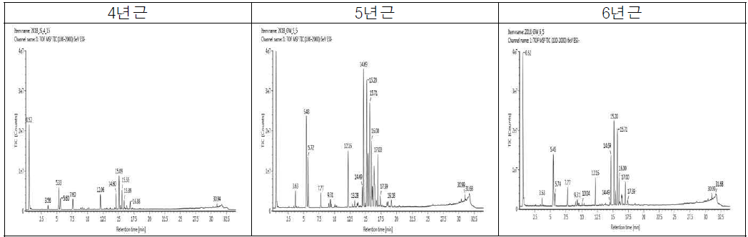 3차년도 인삼시료의 연근별 LC/MS 크로마토그램