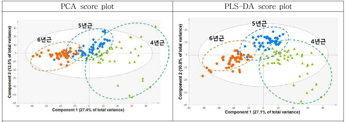 4,5,6년근 인삼의 주요 대사체 프로파일링 데이터의 PCA 및 PLS-DA 분석결과