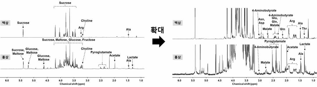 백삼, 홍삼의 대표 NMR 스펙트럼