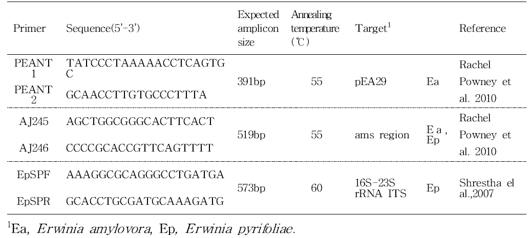 List of primers used for PCR identification of the isolates