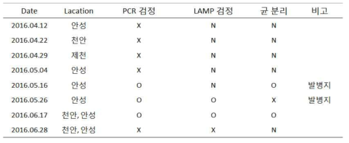 2016년 모니터링 결과