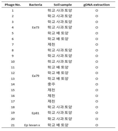 분리하여 보유중인 박테리오파지