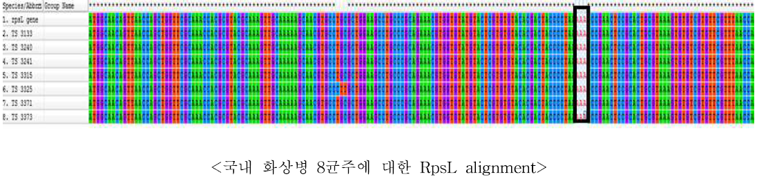 rpsL 유전자의 deduced amino acid 염기서열에 의한 돌연변이 확인