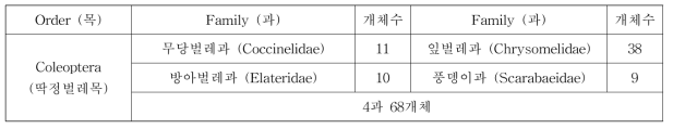 채집된 딲정벌레목 곤충 요약