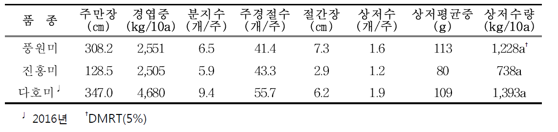 고구마+고구마+시금치 작형의 1모작 고구마 생육 및 수량 특성