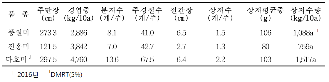 고구마+옥수수+시금치 작형의 1모작 고구마 생육 및 수량 특성