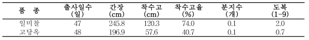 고구마+옥수수+시금치 작형의 2모작 옥수수 생육 특성