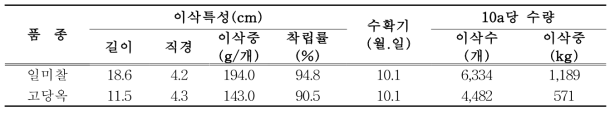 고구마+옥수수+시금치 작형의 2모작 옥수수 수량 특성