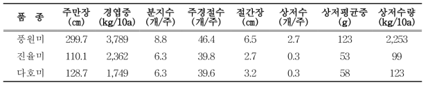 1모작 고구마 생육 및 수량