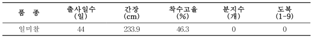 2모작 옥수수 생육 특성