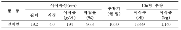 2모작 옥수수 수량 특성