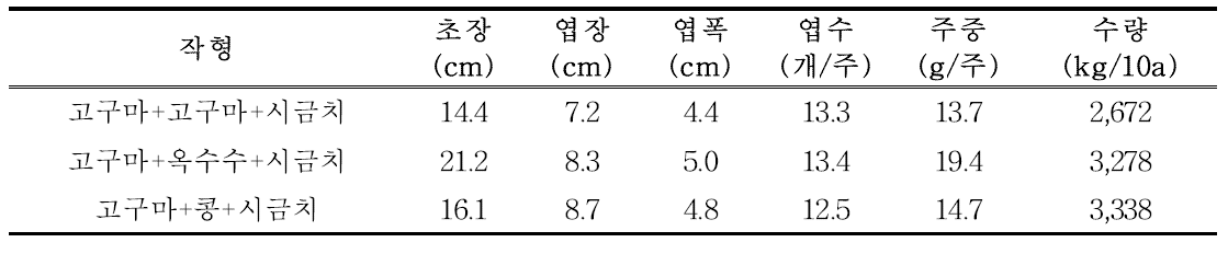 3모작 시금치 생육 및 수량 특성