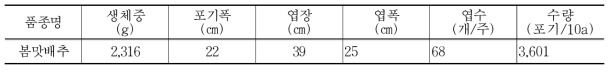 봄배추 생육 및 수량 특성(2016~2018, 강원도농업기술원)