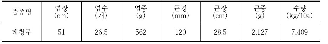 무 생육 및 수량 특성(2017~2018, 강원도농업기술원)