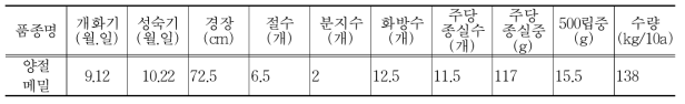 메밀 생육 및 수량 특성(2017~2018, 강원도농업기술원)