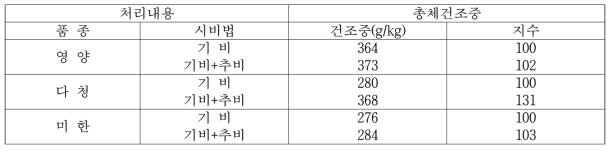 추파 대비 춘파 시비법에 따른 총체건조중 비교(2018년)