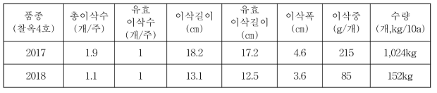 옥수수(만기재배) 생육 및 수량