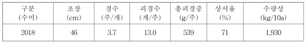 봄감자 생육 및 수량