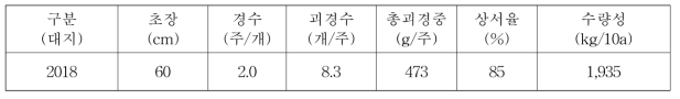 가을감자 생육 및 수량