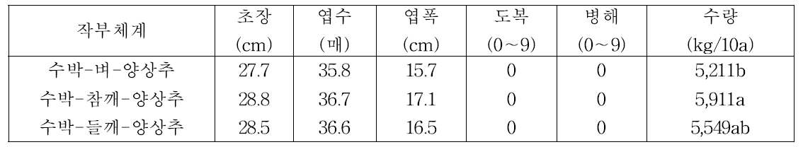 무가온 비닐하우스에서 3모작 작부체계에서 양상추 생육 및 수량