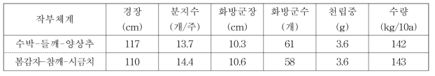 무가온 비닐하우스에서 3모작 작부체계에서 들깨 생육 및 수량