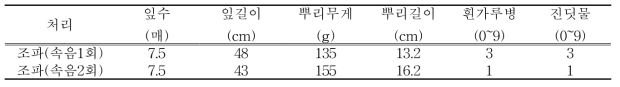 논 무가온 하우스 생육 및 병해 발생정도