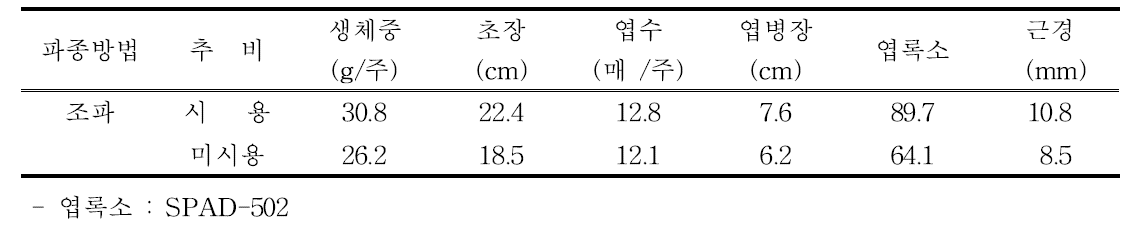 논 무가운하우스 시금치 재배 수확 시 생육