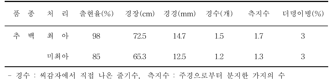 논 무가온하우스 가을감자 생육 및 병해발생정도