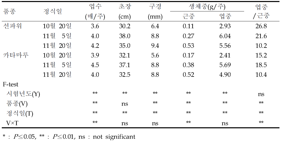 정식일에 따른 묘 생육